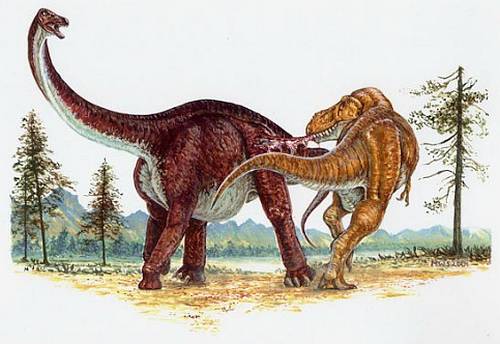Diplodocus  and T Rex